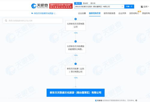 新東方文旅在煙臺成立新公司，聚焦計算機網絡信息及軟件技術開發(fā)